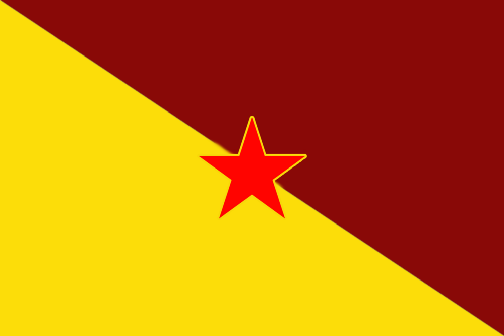 CommunistFrenchGuianaFlag.png