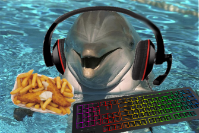 Dolphin Gaming.