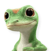 Geico