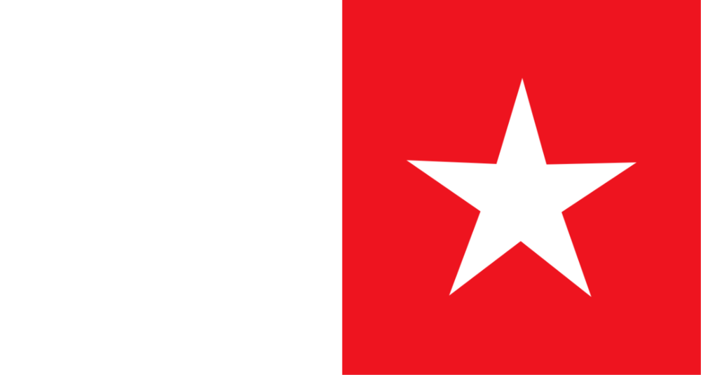 801938133_Flagge_Witu_1890_laut_Voeltzkow.svg(1).thumb.png.44a9333213a12da5021f2c8f7006ca76.png