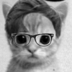 Gatitos