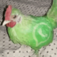 McRad